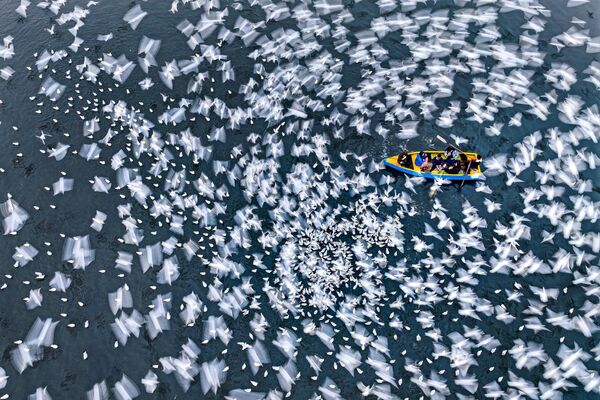 Serenity in Motion od Mushfiqul Alam z Bangladéša - Sputnik International