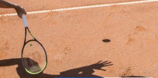 Tjenová vyhrala svoj prvý turnaj WTA, v Chennai zdolala Birrellovú