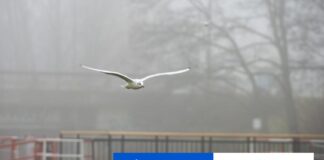 Na mnohých miestach Slovenska sa môže až do nedele vyskytnúť hmla