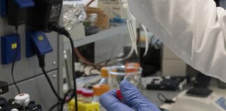 MŽP by mohlo byť povinnou osobou pre sanáciu Istrochemu