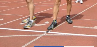 Pre halu vo Zvolene je vhodnou lokalitou areál na Zlatom potoku