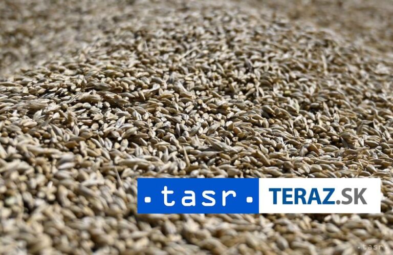 V Nigérii zomrelo viac ako 600 podvyživených detí