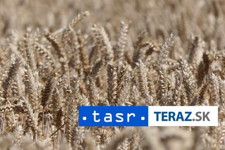 Nórsko začalo vytvárať núdzové zásoby obilia