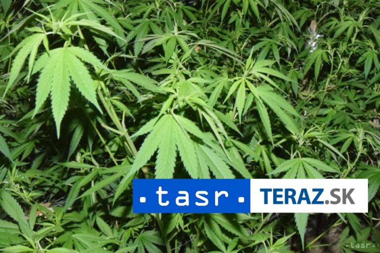 Sýrske úrady spálili drogy vrátane jedného milióna tabliet captagonu