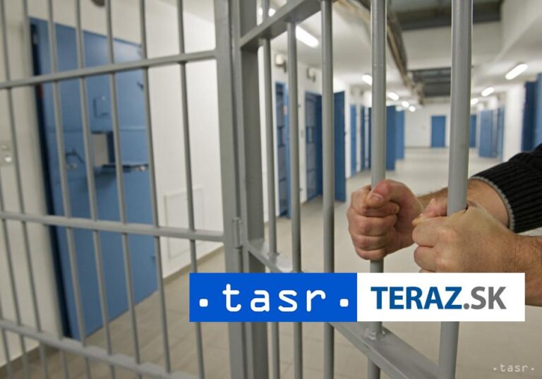 Dvojici za prepadnutie hrozí niekoľkoročné väzenie