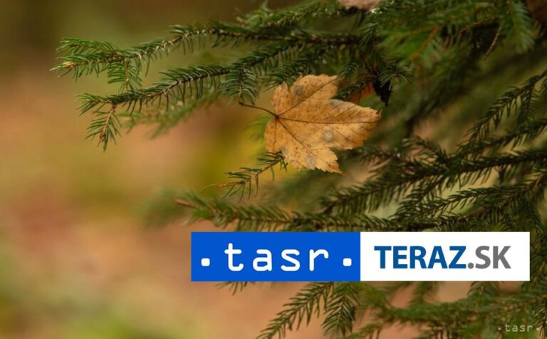 Rámec pre manažovanie porastov drevín rastúcich mimo lesa sa mení