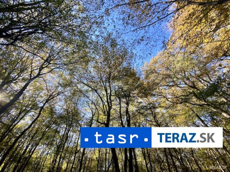 Lesníci pre rojenie lykožrúta čakajú rozšírenie kalamity na Horehroní
