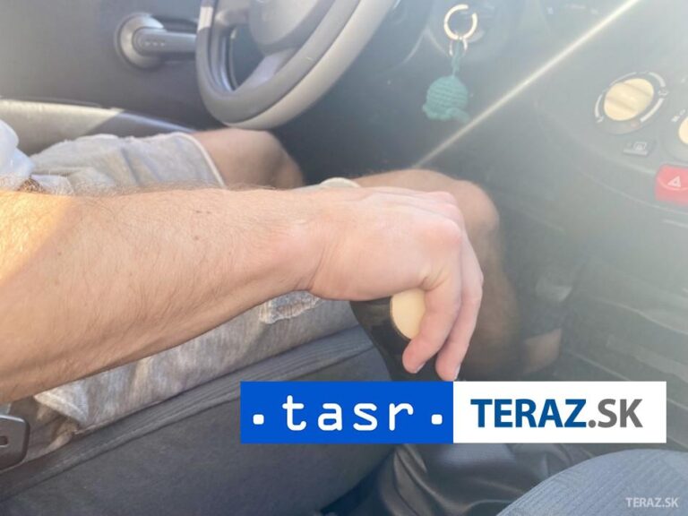 NARAZIL AUTOM DO SKUPINY SIEDMICH DETÍ: Muža zadržali