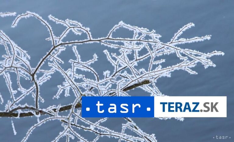 V USA si mrazivé počasie vyžiadalo najmenej 50 obetí