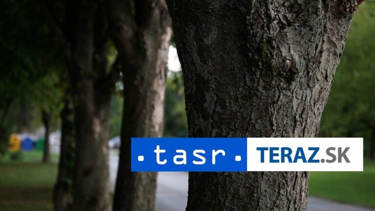 Obnovený objekt v Sade J. Kráľa má byť gastroprevádzkou Ferdinand