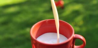 Cena mlieka sa v auguste v SR zvýšila o 0,4 % na 49,68 eura/100 kg