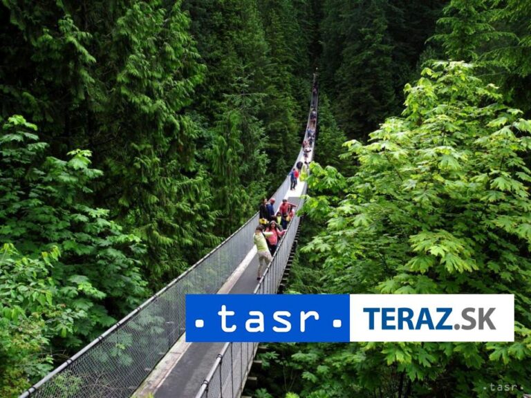 Odlesňovanie Amazonského pralesa sa v roku 2023 znížilo o polovicu