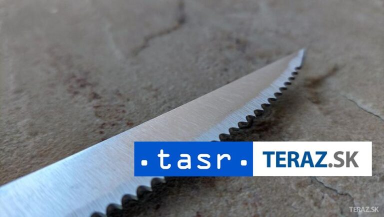 Útočník z mešity vo Francúzsku odmieta, že by vraždil z nenávisti