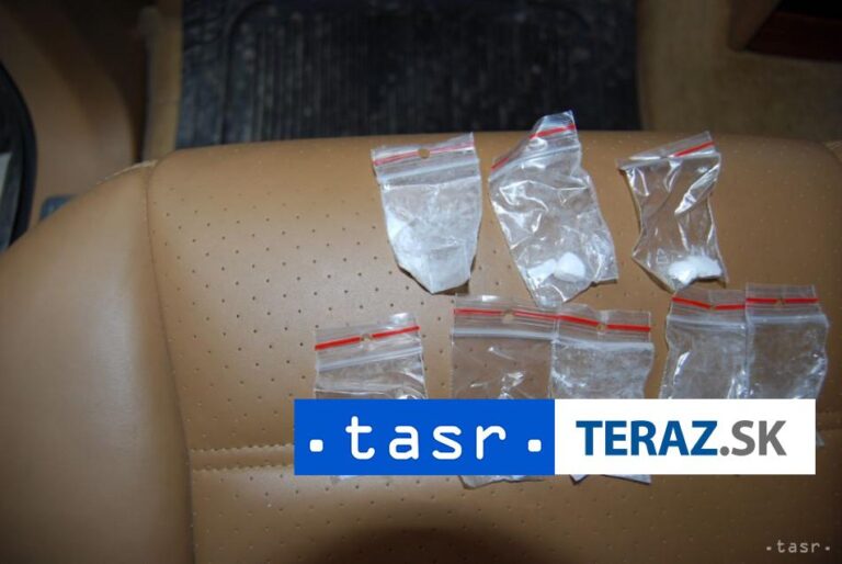 Policajti SR a Maďarska zasiahli proti slovensko-maďarskému gangu