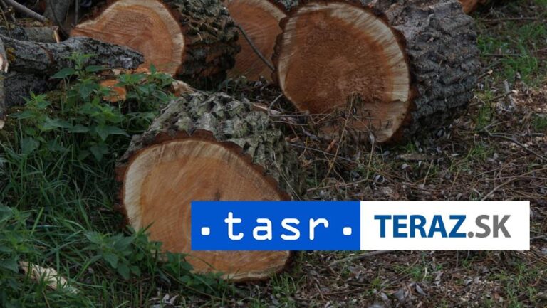 Vyšetrujú výrub stromov v obci Krajná Bystrá