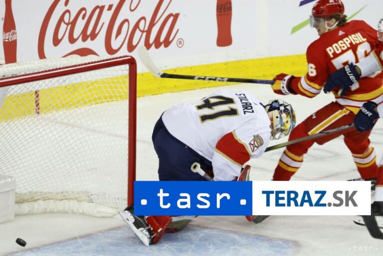 Pospíšil utrpel zranenie v hornej časti tela