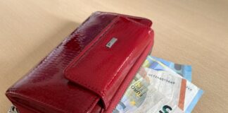 Ťažkosti s peniazmi má 29 % Slovákov