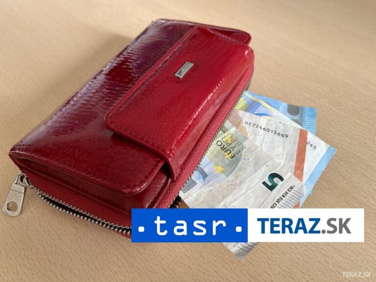 Nízke úspory domácnosti vedú k slabej pripravenosti na zlé časy