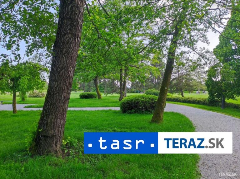 O majstrovi Slovenska v stromolezectve sa rozhodne v nedeľu