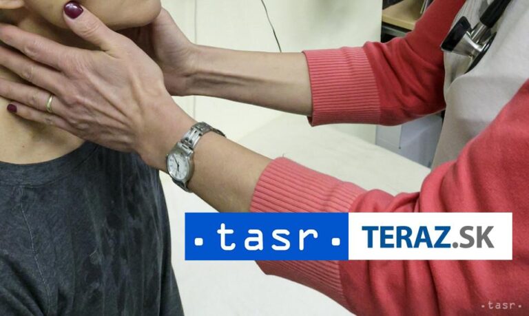 Slovákov vlani najčastejšie ošetrili v Česku, Rakúsku a Maďarsku