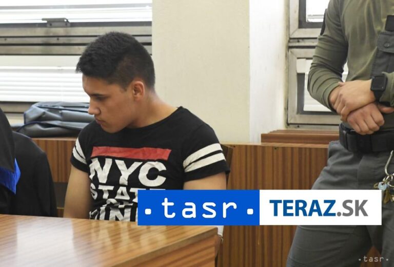 VRAŽDA ŽENY V MICHALOVCIACH: Mladík dostal 23-ročný trest