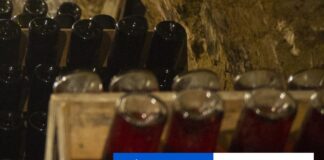 V Bratislave odštartovali ďalší ročník Festivalu mladého vína