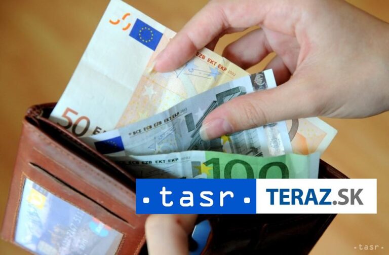 Tržby maloobchodu v januári 2025 medziročne stúpli o 0,8 %