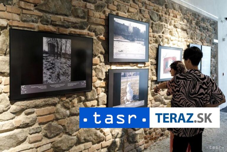 v Španielsku zatkli 22 aktivistov podozrivých z výtržníctva v múzeách