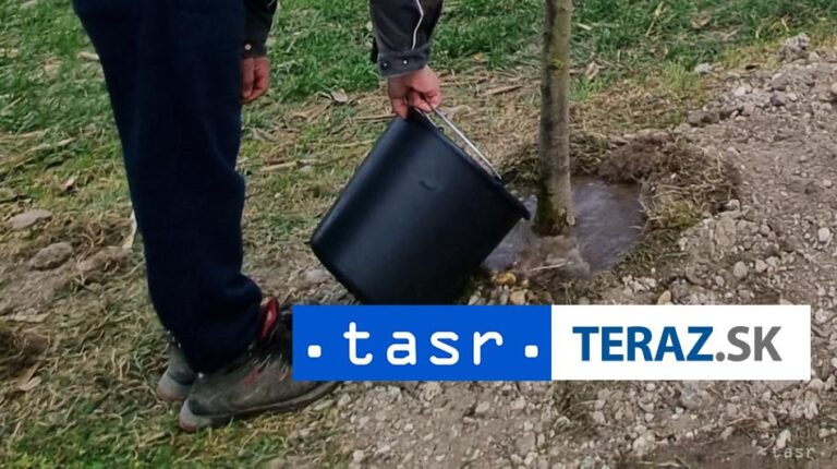 Lučenec pripravuje druhú etapu revitalizácie zelene na Ulici M. Rázusa