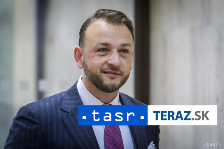 Pred inauguráciou bude mať Hlas snem a zvolíme predsedu