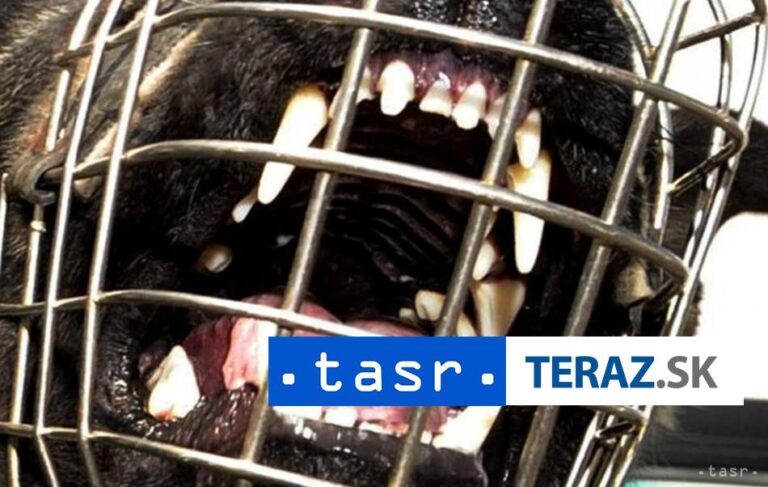 Útok troch rotvajlerov neďaleko Ríma neprežil 50-ročný bežec