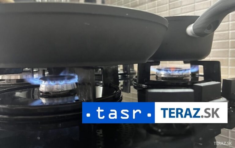 Prieskum: Slováci dôverujú plynu, na radikálne zmeny nemajú úspory