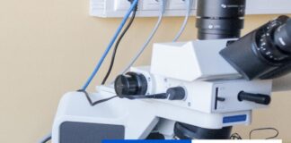 Čínska vedkyňa sa v USA priznala k pašovaniu nebezpečného patogénu