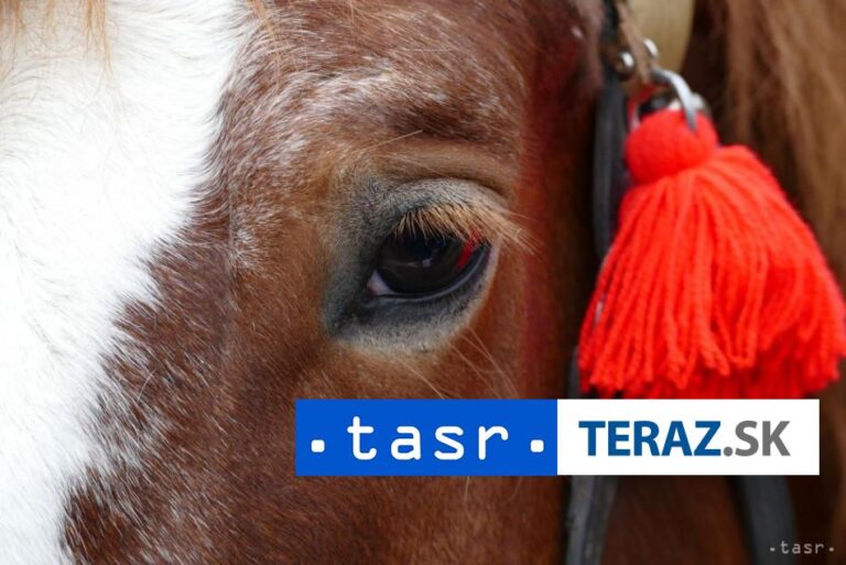 Sobranecké kúpele ožijú v nedeľu Furmanskými pretekmi