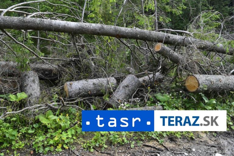 Dve chránené lokality v N. Tatrách podľa ochranárov ohrozuje ťažba