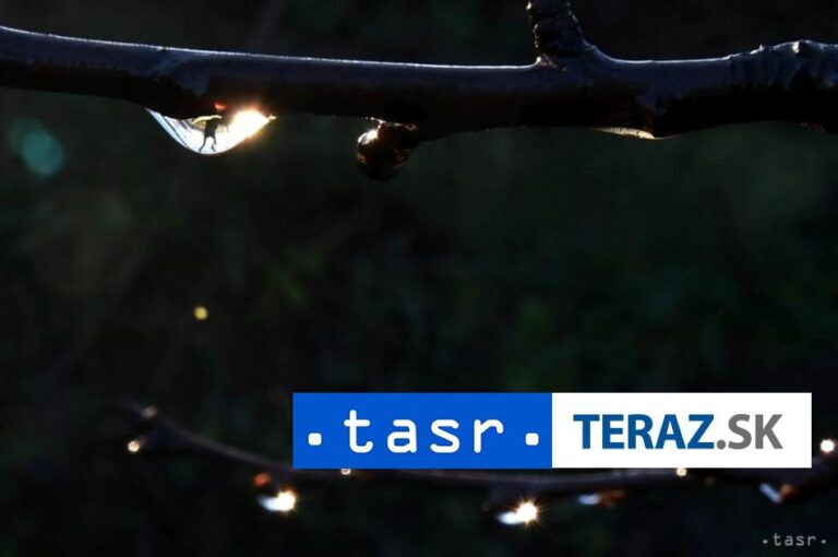 Slovensko čakajú zrážky, prinesú potrebnú vlahu vegetácii