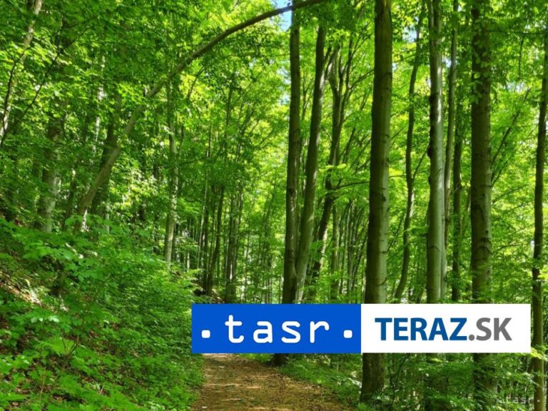 Mestské lesy Košice upozorňujú na turistické obmedzenia