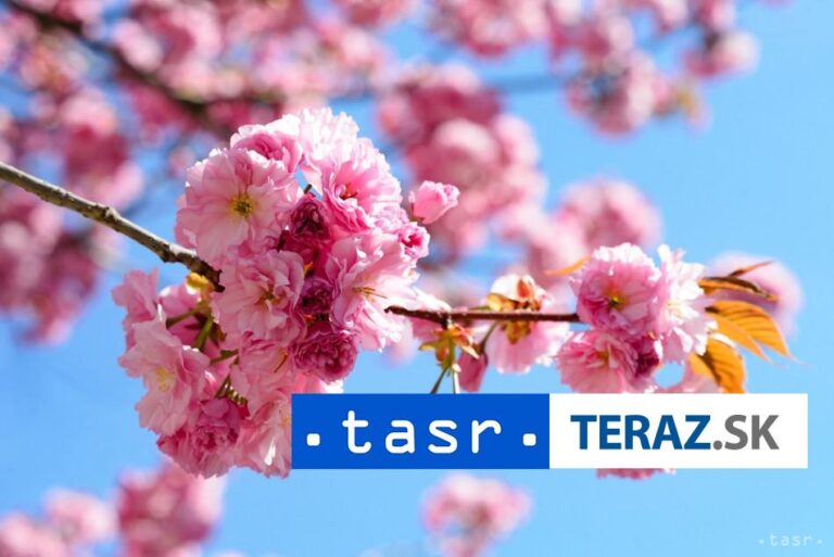 Bozk pod čerešňou je možné vďaka mape absolvovať v predstihu
