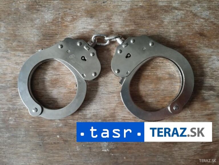 Polícia chytila nadrogovaného vodiča, našla ho v kríkoch