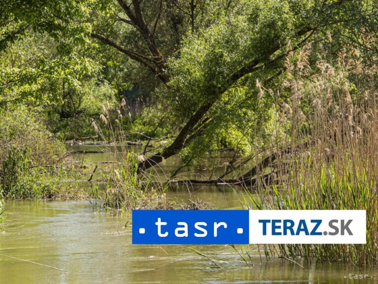 V Dunaji našli telo ženy