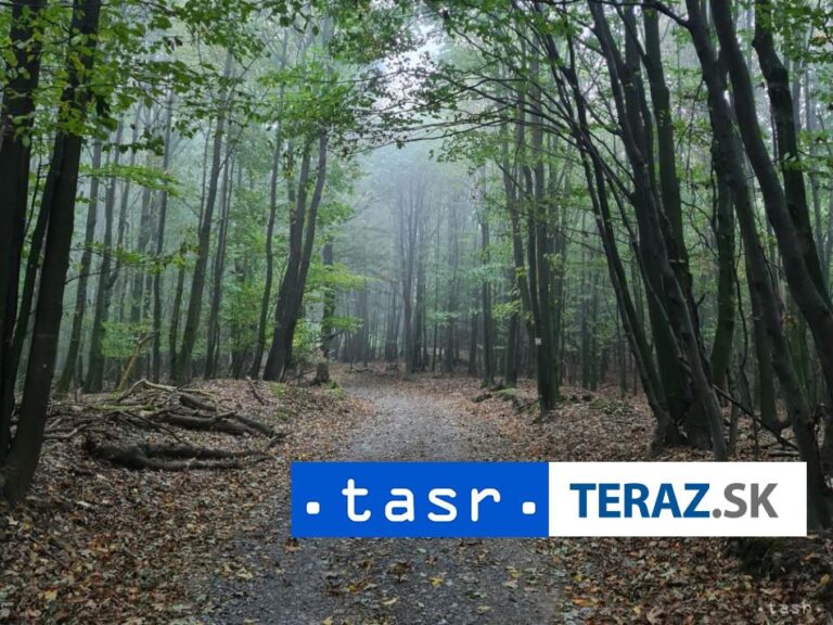 V piatok rátajte so silným vetrom na viacerých miestach Slovenska