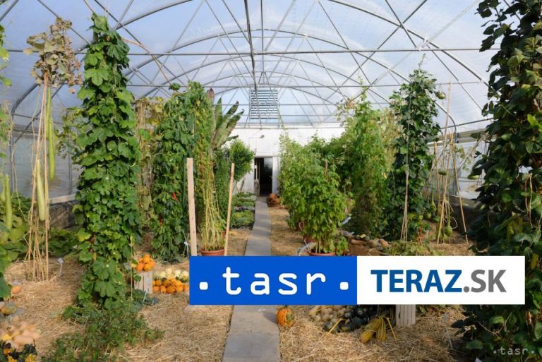 Botanická záhrada SPU opäť otvorí svoj park verejnosti