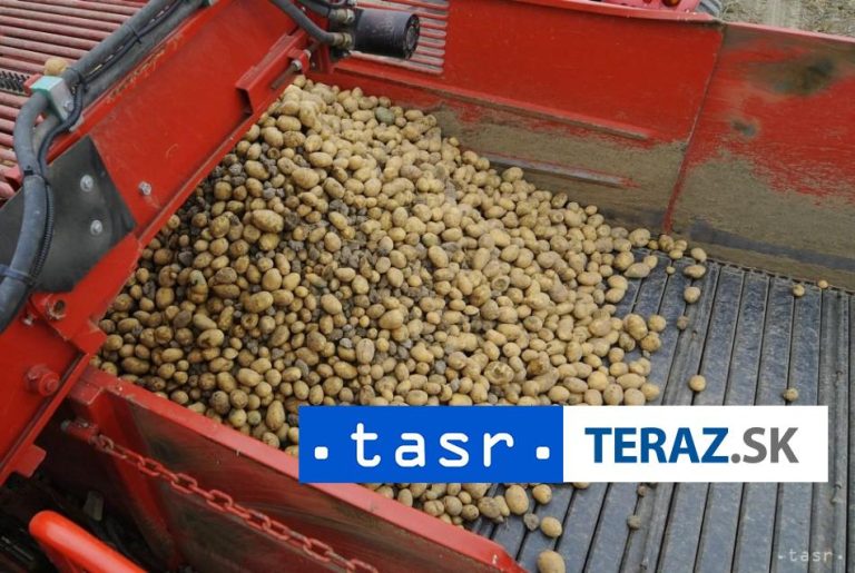 Ceny agrokomodít boli v marci 2024 medziročne nižšie o 12,8 %