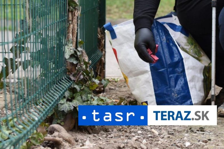 V meste Trnava sa v najbližších dňoch začne pravidelná deratizácia