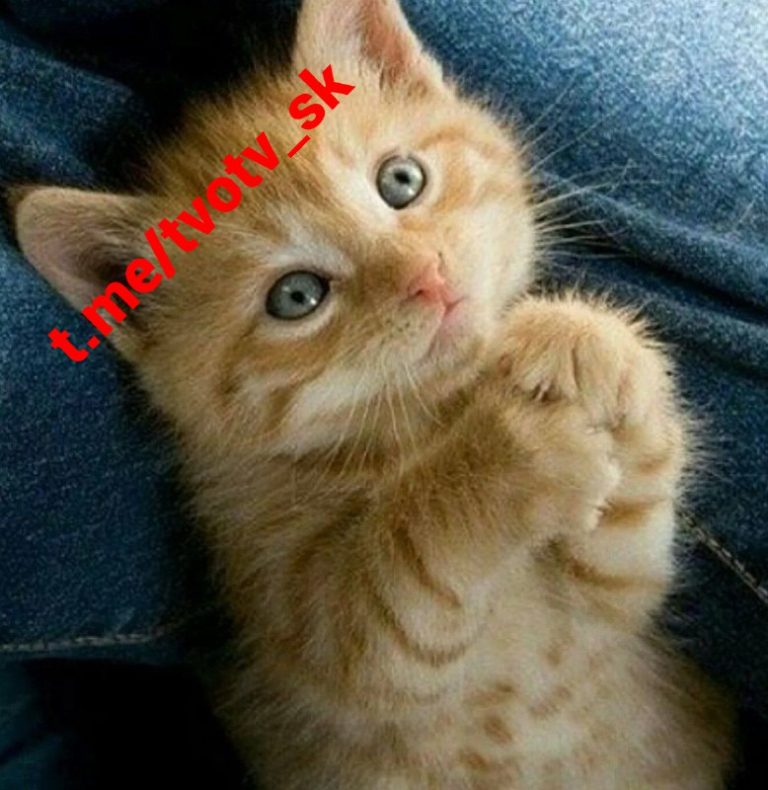 Iba 1 euro mesačnePre vás to nie je veľká suma, pre nás je to obrovská príležito…