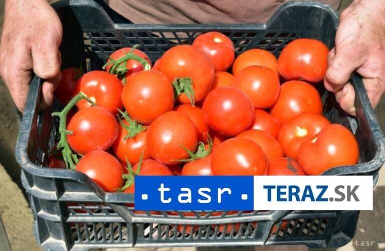 Na levických sídliskách si budú môcť dopestovať zeleninu a ovocie