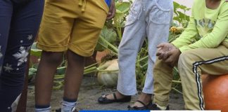 Lúč z tmy získali osobnosti, ktoré zlepšujú postavenie Rómov