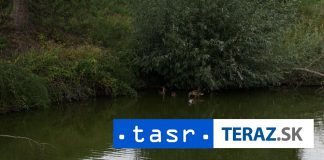 Kalná nad Hronom pripravuje rekonštrukciu lodenice