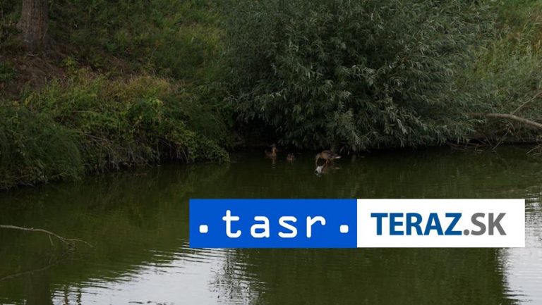 V toku Blatina v Pezinku zistili prekročenie hodnôt arzénu