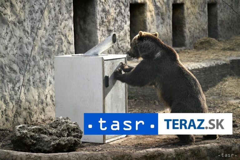 V Štrbe pribudli špeciálne kontajnerové stojiská odolné voči medveďom